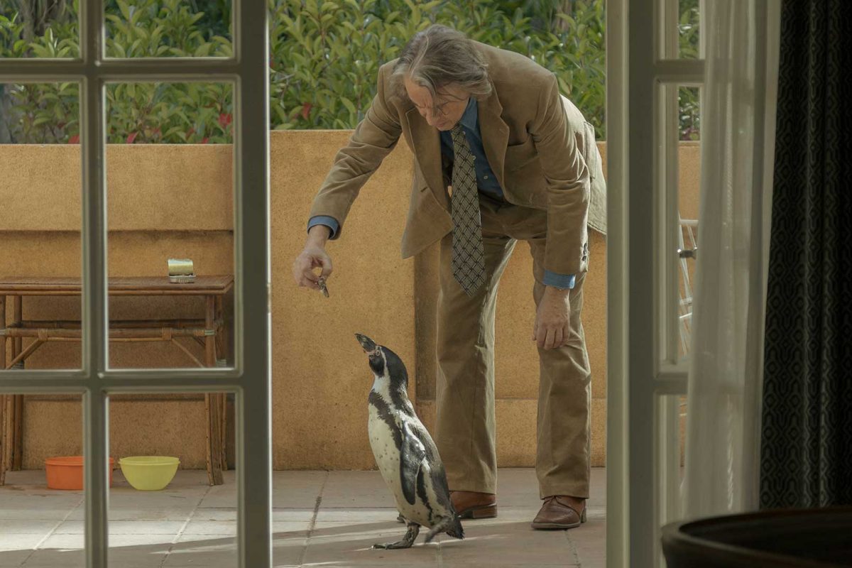 Pinguino3
